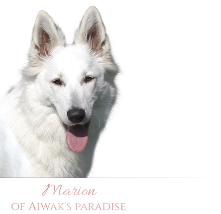 Marion