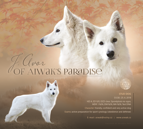 j avor of aiwaks paradise bso letacek en
